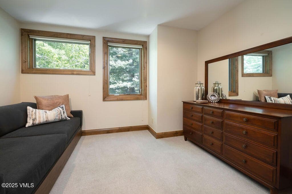5th Bedroom with pull out sofa bed