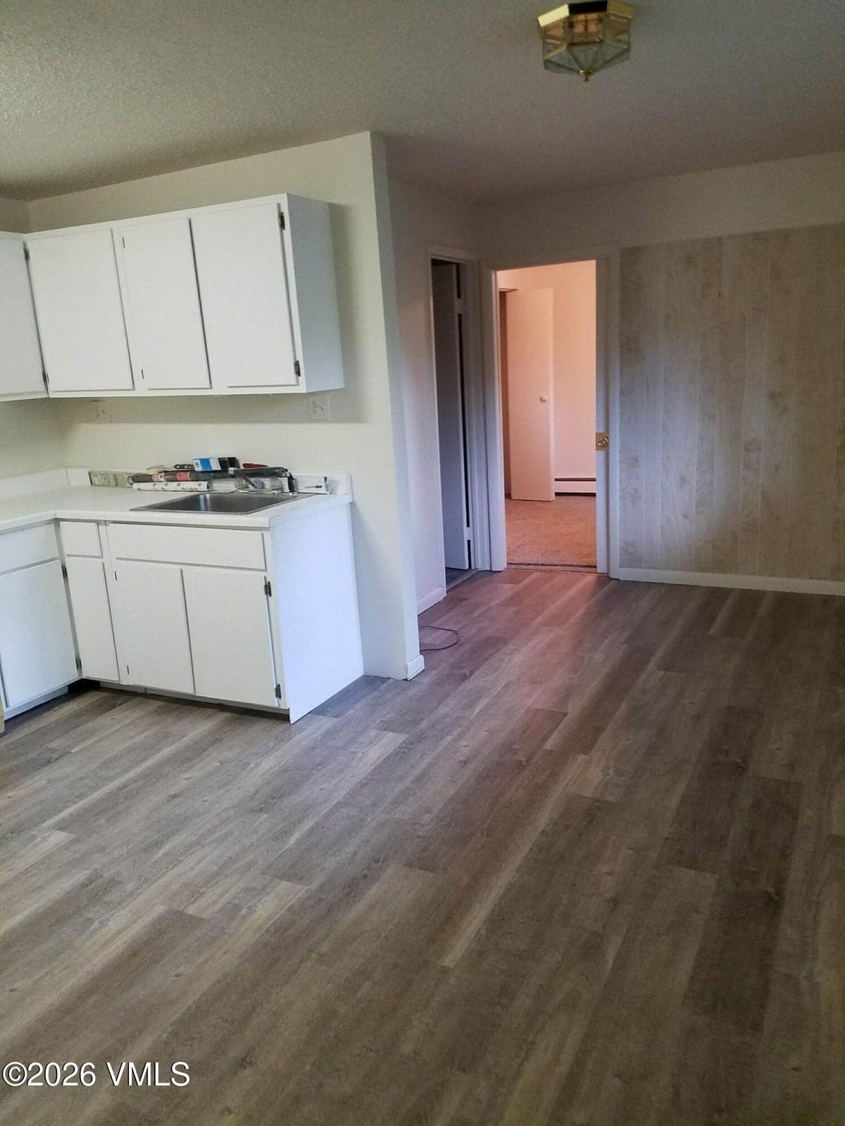 Lower level/kitchen/living room